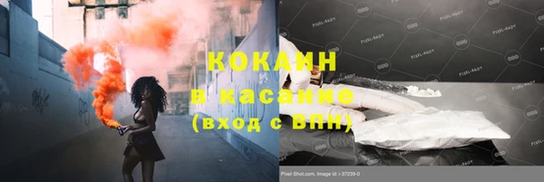 гидра Алексин