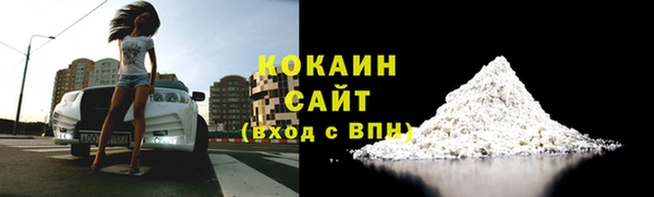 гидра Алексин
