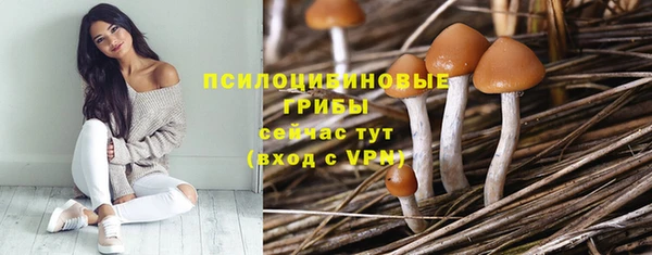 экстази Абаза